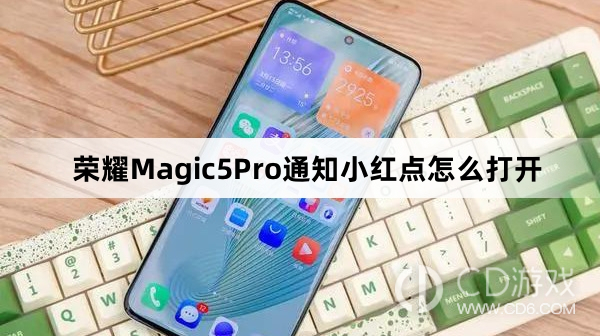 荣耀Magic5Pro通知小红点打开教程介绍?荣耀Magic5Pro通知小红点怎么打开