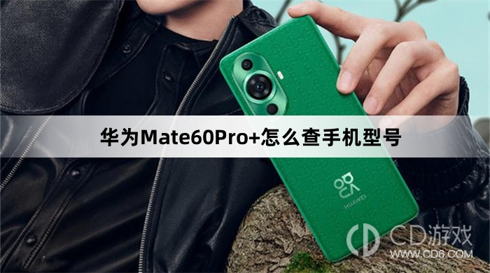 华为Mate60Pro+查手机型号方法介绍?华为Mate60Pro+怎么查手机型号