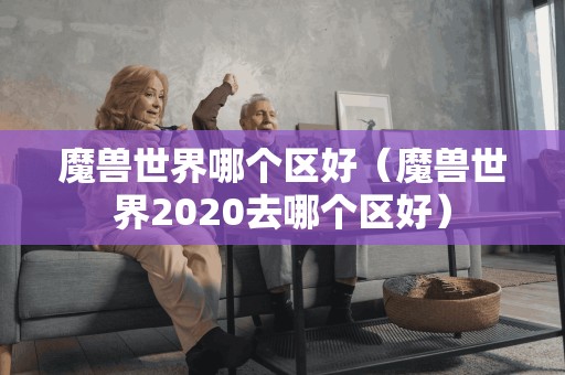 魔兽世界哪个区好（魔兽世界2020去哪个区好）