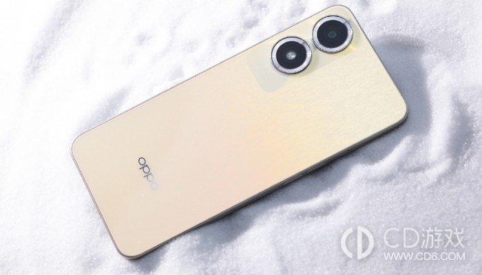 OPPOA2x关闭安全检测的方法?OPPOA2x怎么关闭安全检测