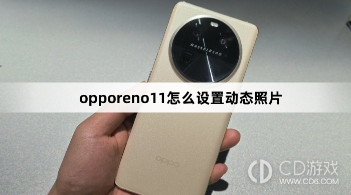 opporeno11设置动态照片方法?opporeno11怎么设置动态照片