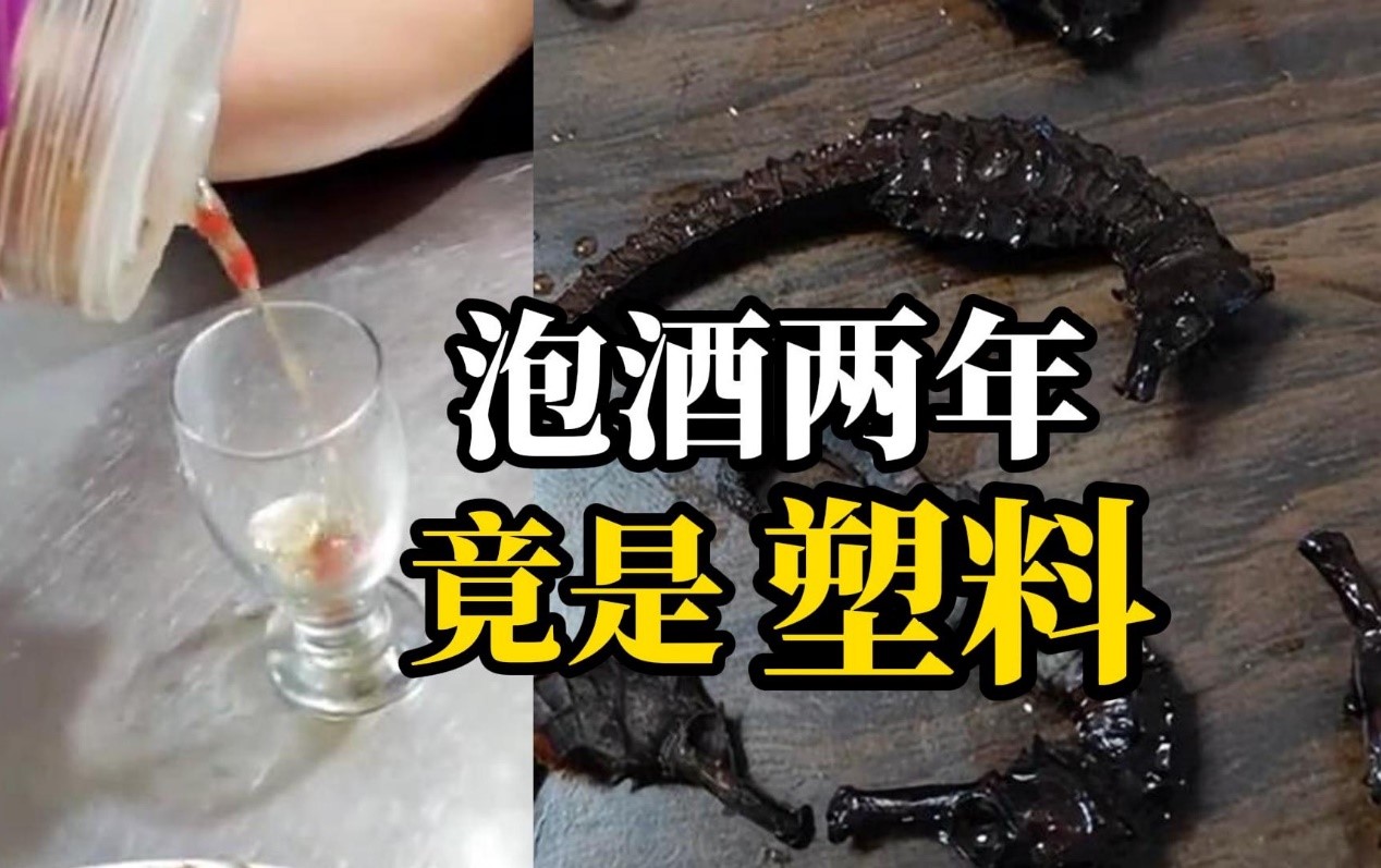 男子发现泡2年药酒里的海马是塑料