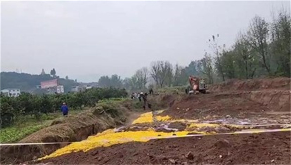 重庆6名村民疑似气体中毒3人死亡
