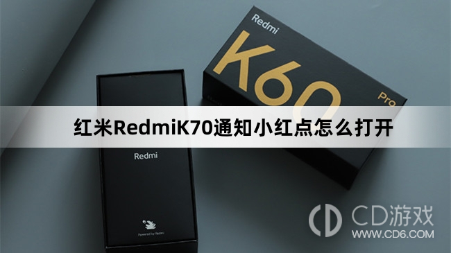 红米RedmiK70通知小红点打开教程介绍?红米RedmiK70通知小红点怎么打开