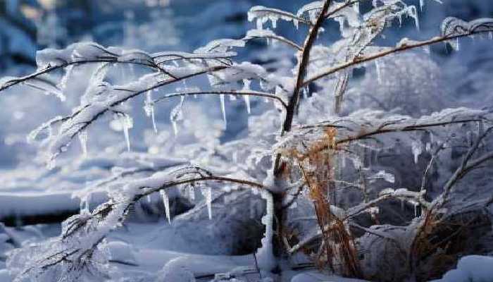 河南多地发布暴雪红色预警 郑州安阳新乡等地今天停课