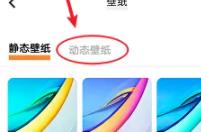 vivos18设置动态壁纸方法?vivos18怎么设置动态壁纸