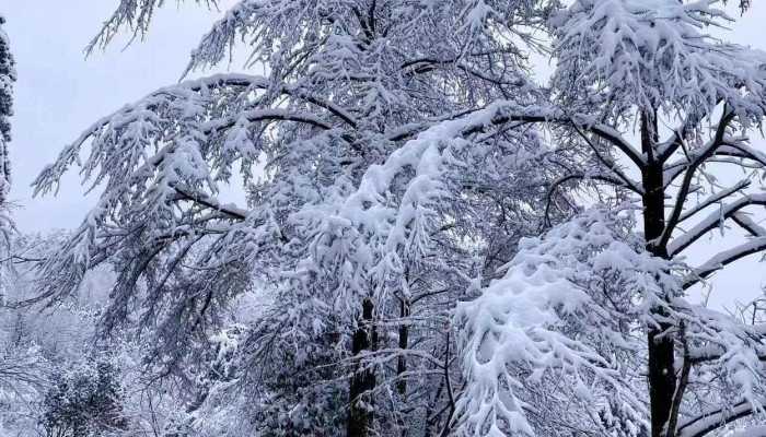 山东威海文登积雪深度74厘米打破全省纪录 今天降雪还在持续