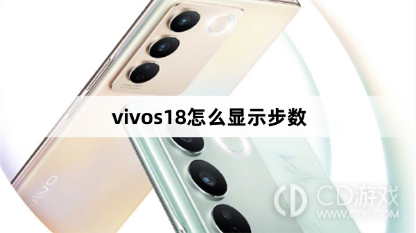 vivos18显示步数方法?vivos18怎么显示步数