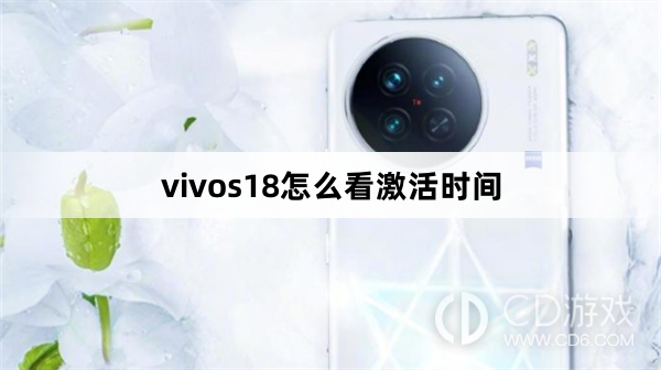 vivos18看激活时间方法?vivos18怎么看激活时间