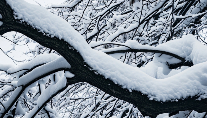 日本7.6级地震最新进展 日本地震灾区将迎来暴雪 