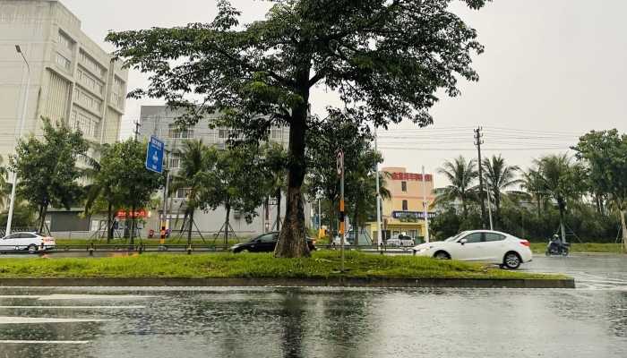 本周末江西阴雨频繁 南昌最高气温将跌至11℃