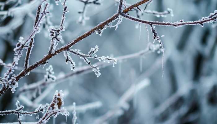 陕西2024年首场大范围雨雪天气即将来袭 这两天是主要降雪时段