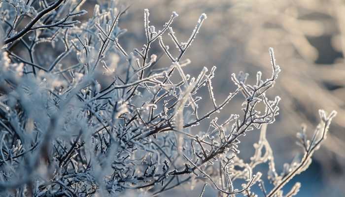 本周陕西开启阴雨雪天气模式 西安未来几天雨雪频繁