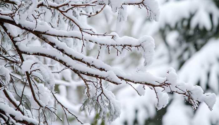 暴雪蓝色预警发布 山西部分高速公路受天气影响封闭