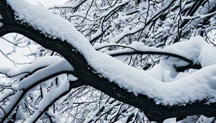 湖南先暴雨后暴雪主打一个癫字 湖南成为南方暴雪中心