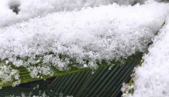 受强冷空气影响广东今起转为阴雨寒冷天气 广州最低跌破0℃