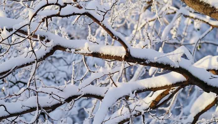 寒潮继续发威江西今天局地迎暴雪 南昌发布暴雪黄色预警