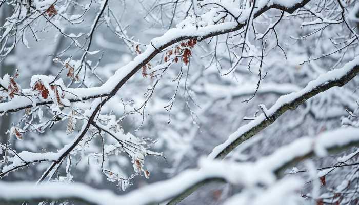 寒潮影响今天湖南降雪持续 长沙将有大暴雪