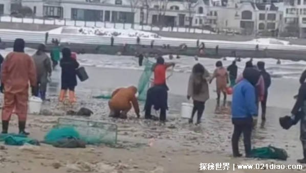 海边发生多起捞海肠溺水事件 溺水抢救的黄金时间