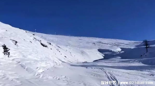 雪道上的事故到底谁负责 道路滑雪有规则