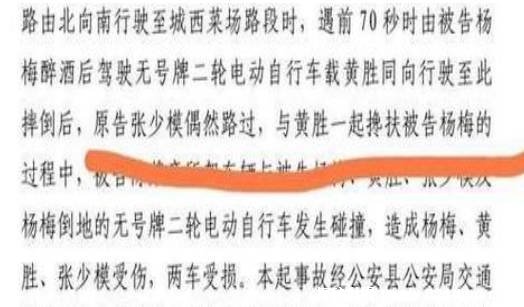 老人扶倒地者却被车撞成植物人 为什么见义勇为申请会被驳回