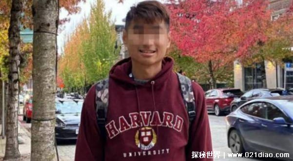 中国留学生参加搏击赛被打成植物人 比赛管理出现问题