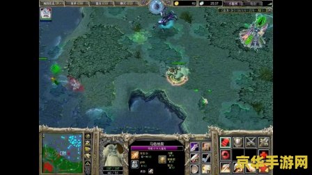 元首的愤怒 dota 元首的愤怒：Dota战场上的荣耀与挫败