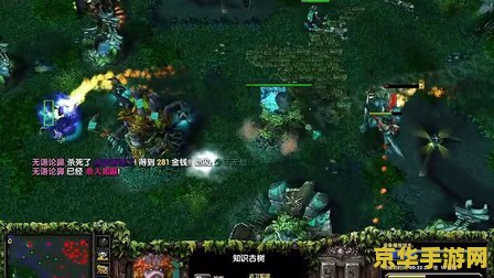 元首的愤怒 dota 元首的愤怒：Dota战场上的荣耀与挫败