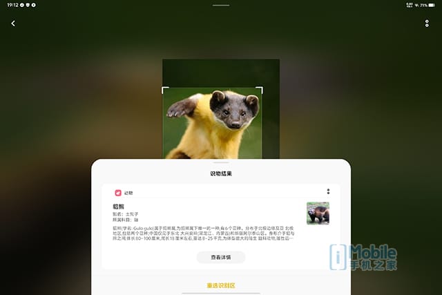 vivo Pad3 Pro怎么样 vivo Pad3 Pro全面评测