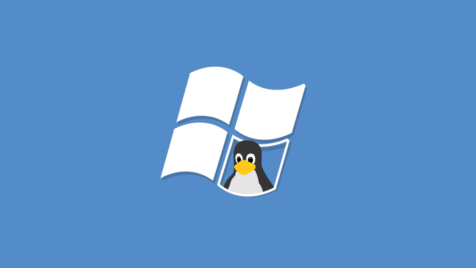 Linux Windows 操作系统