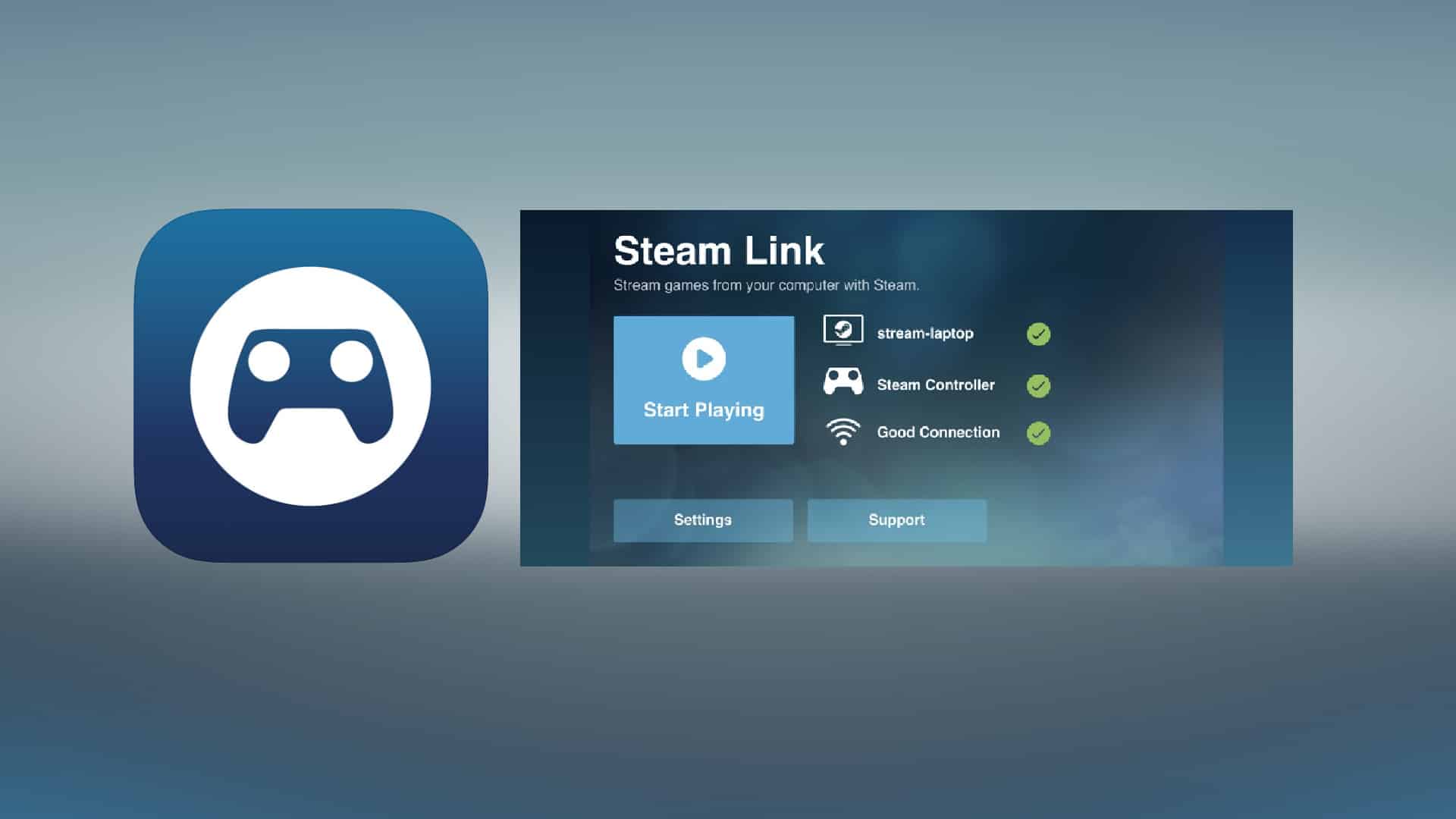 Steam Link