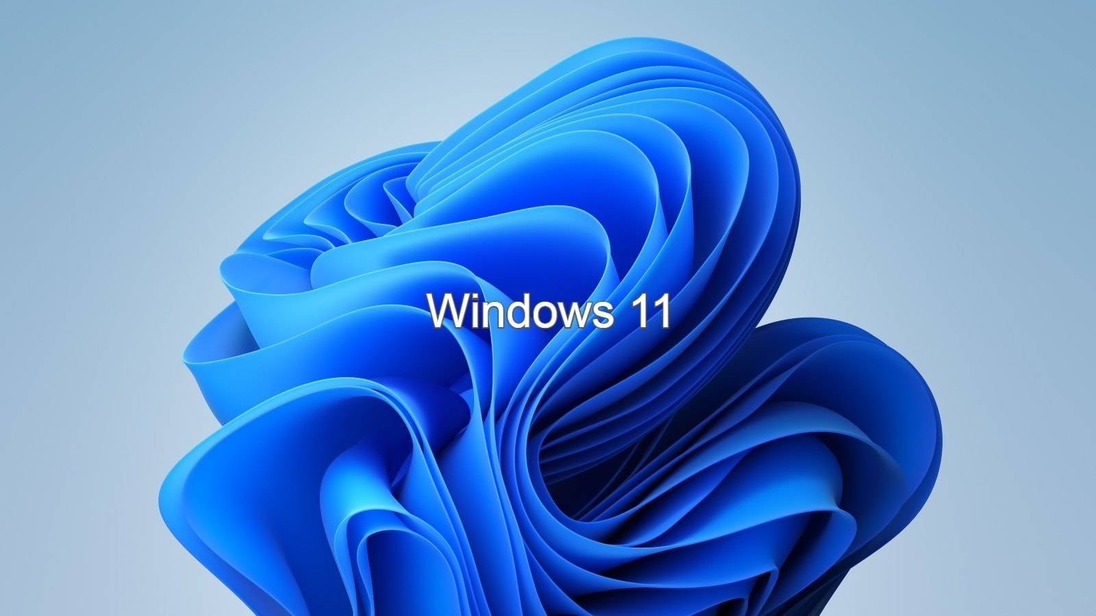 Win11