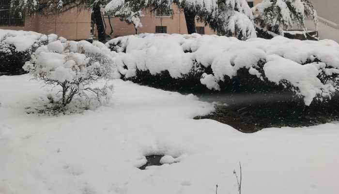 青海省囊谦县发布暴雪蓝色预警 囊谦县觉拉乡将出现大雪到暴雪