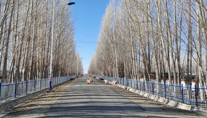 四川省德格县发布道路结冰黄色预警 道路结冰情况较严重出行小心