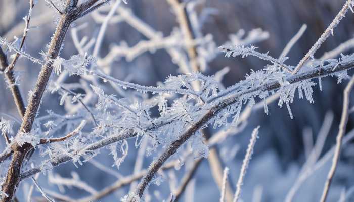 2024年3月20日国外天气预报：西亚有较强雨雪天气