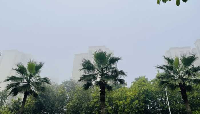 明日北京将迎较明显降雨过程 最高气温20℃