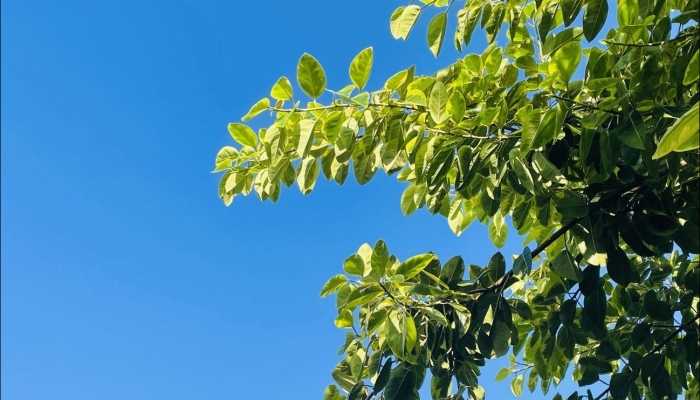 今明两天湖南阳光持续在线  长沙最高温冲到31℃