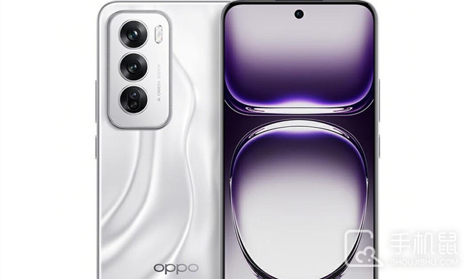 vivo S19和OPPO Reno12的参数对比