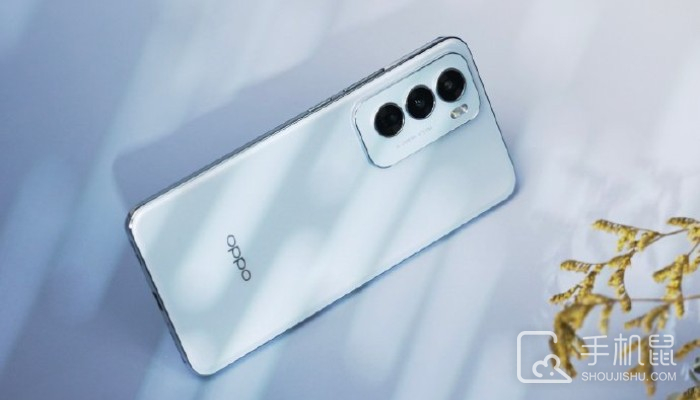 OPPO Reno 12支持光学变焦吗？