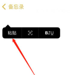 iPhone16如何提取图中的文字？