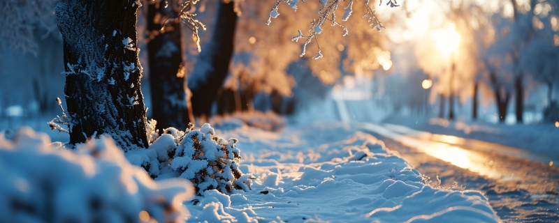 雪灾来临前的预兆 雪灾来临前是什么现象