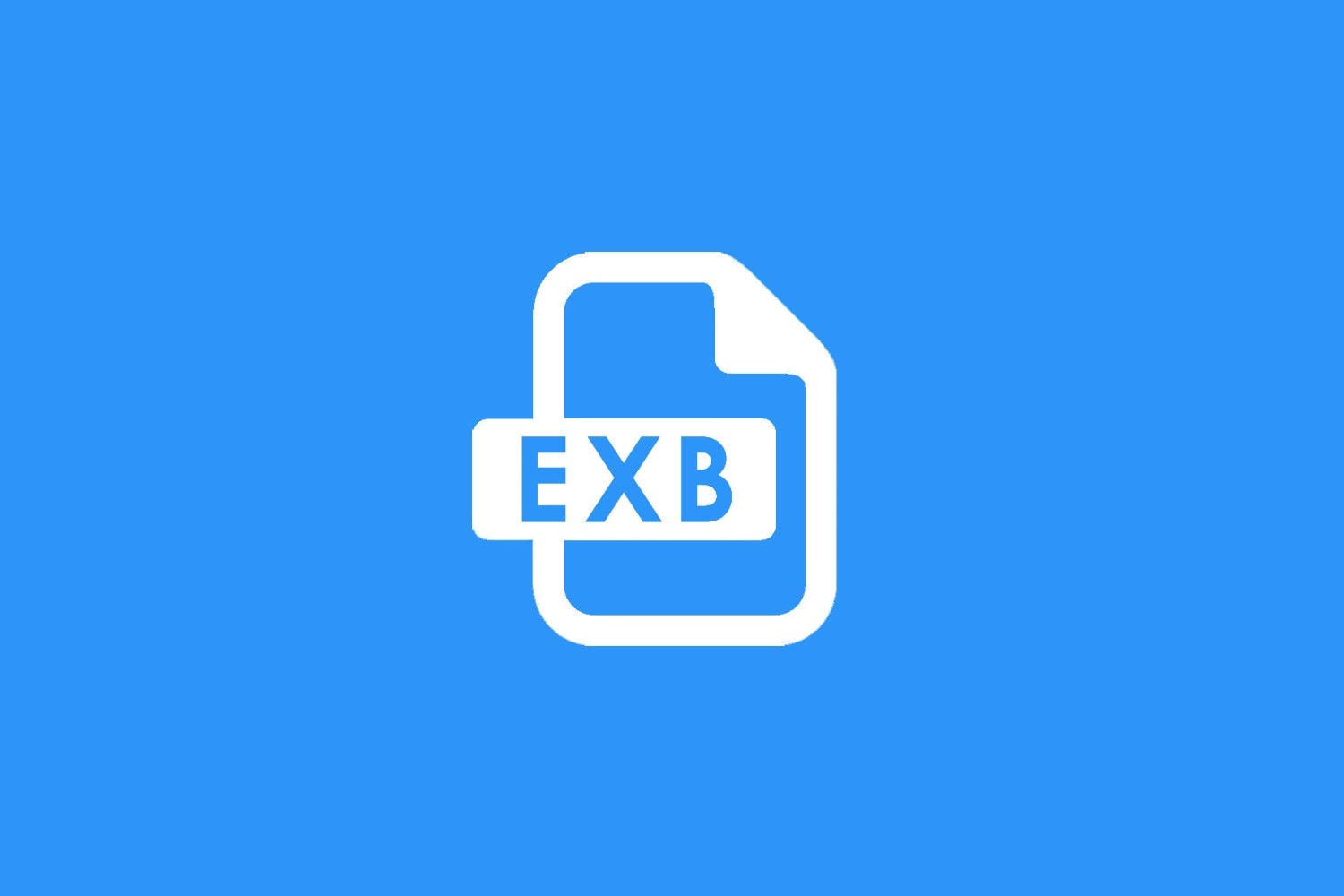 exb 文件 Exb file