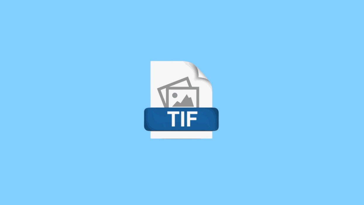 Tif 文件 Tif file