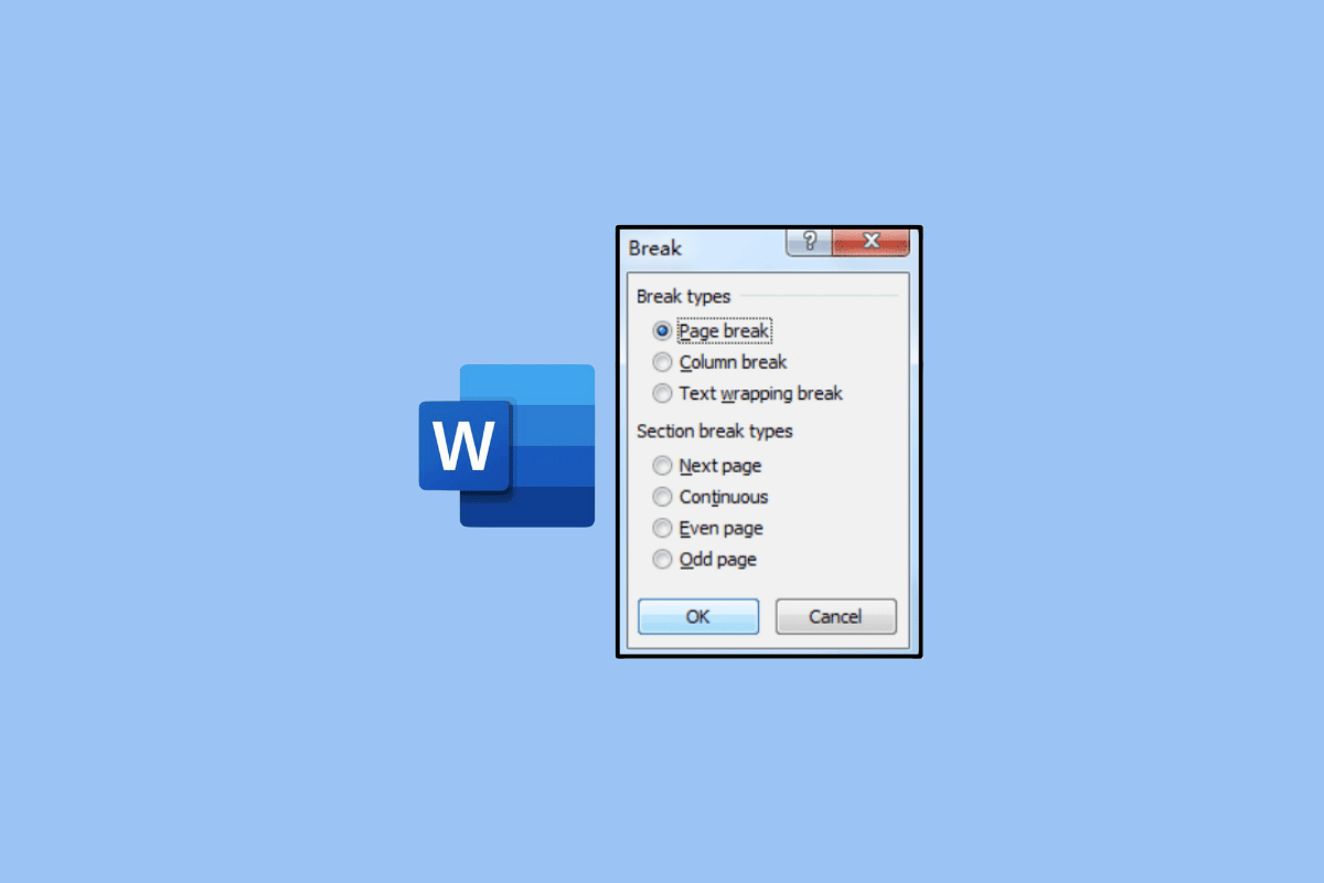 Word 分页符 Word Page Break