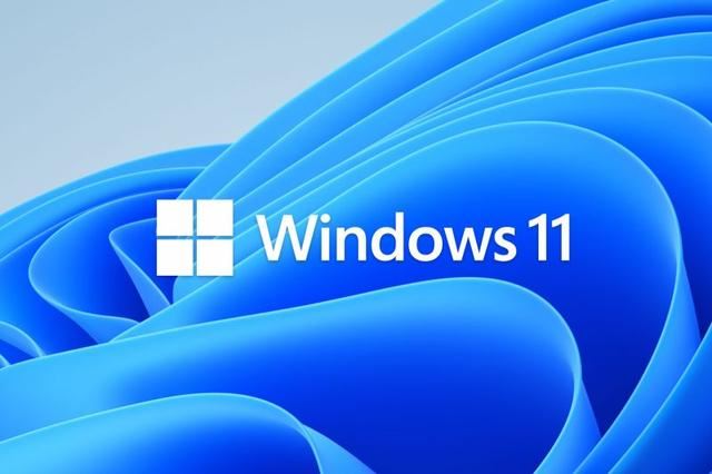 无解! Win11 24H2使用摄像头部分功能时可致应用冻结