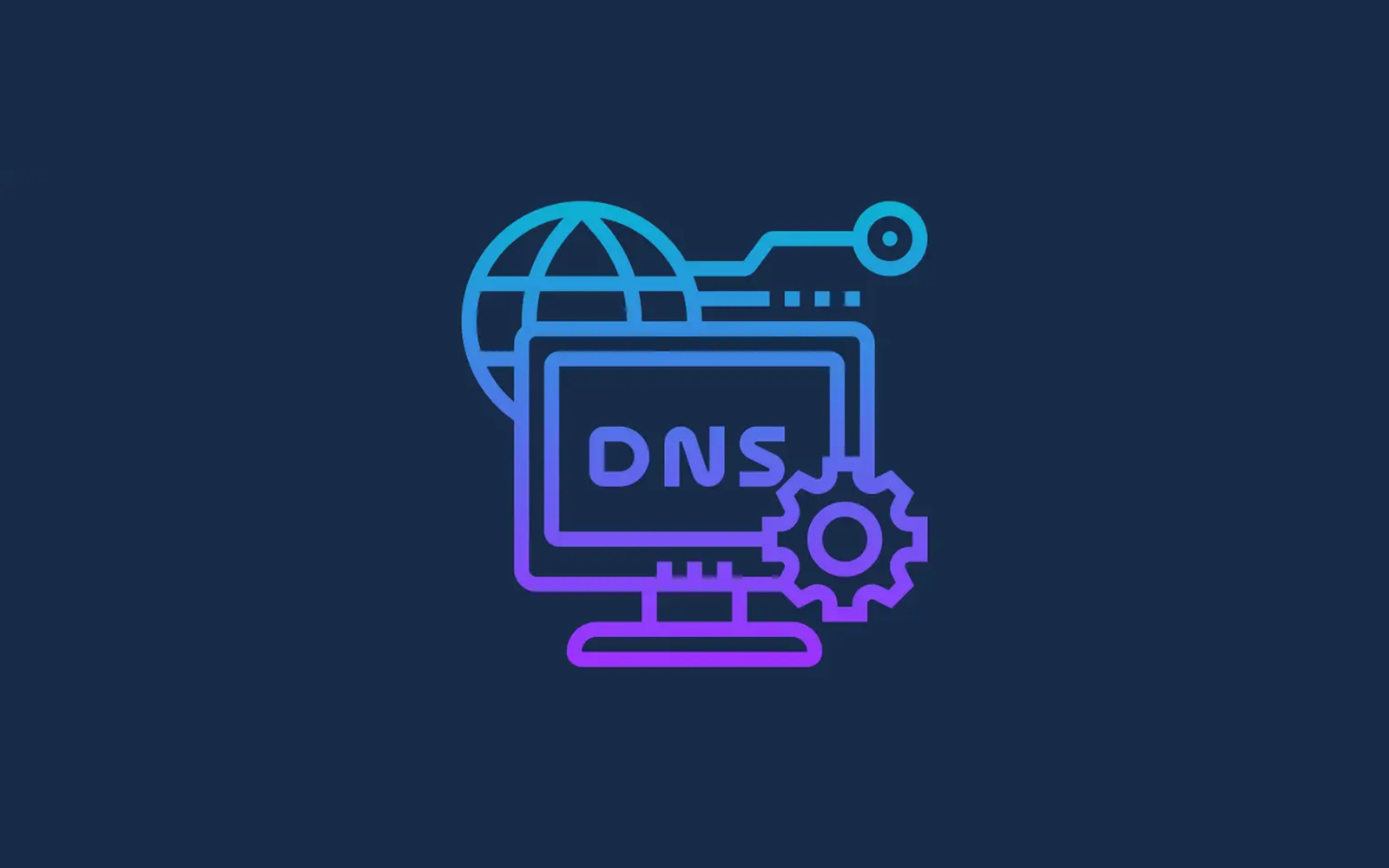 DNS 服务器