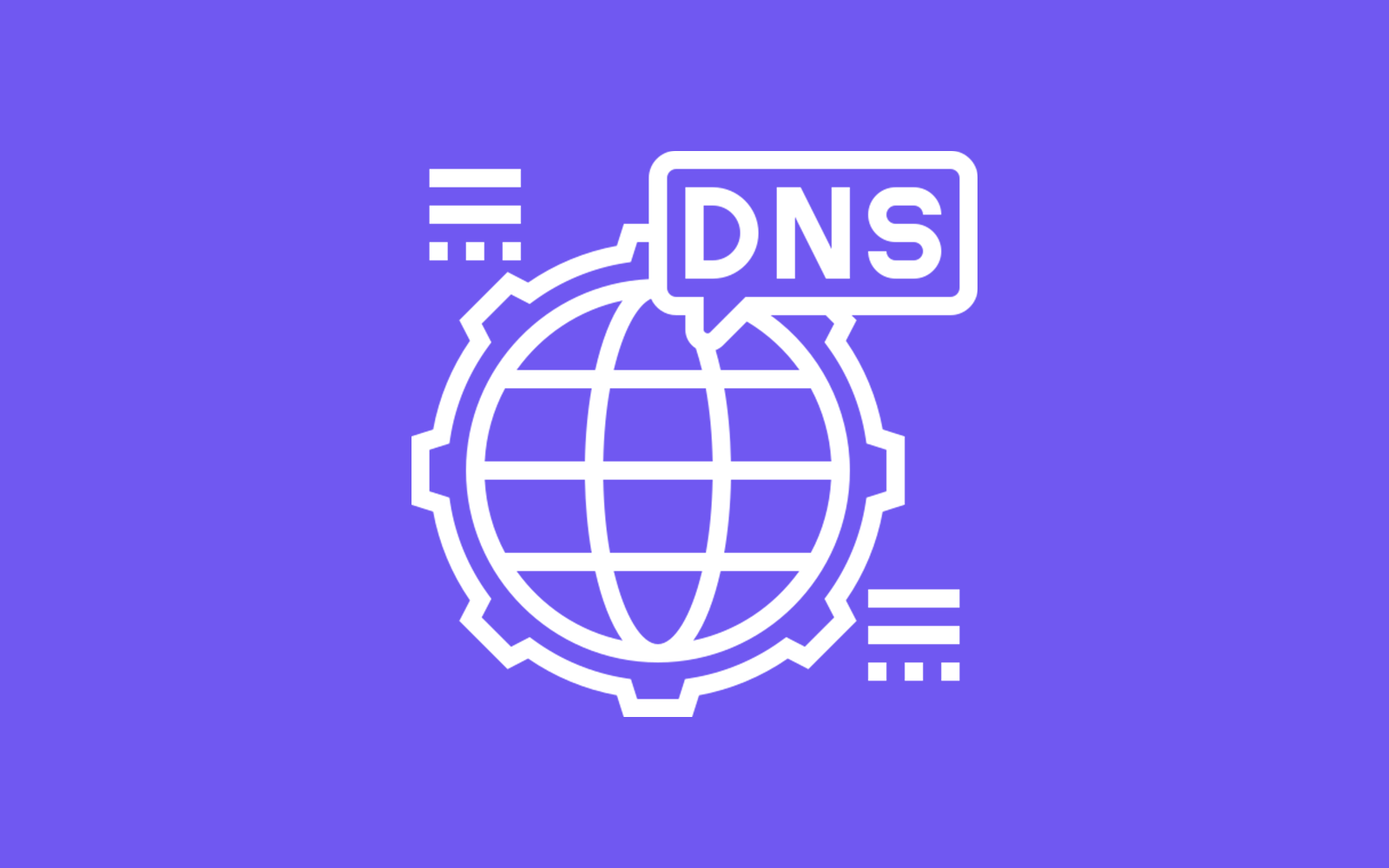 DNS 安全性