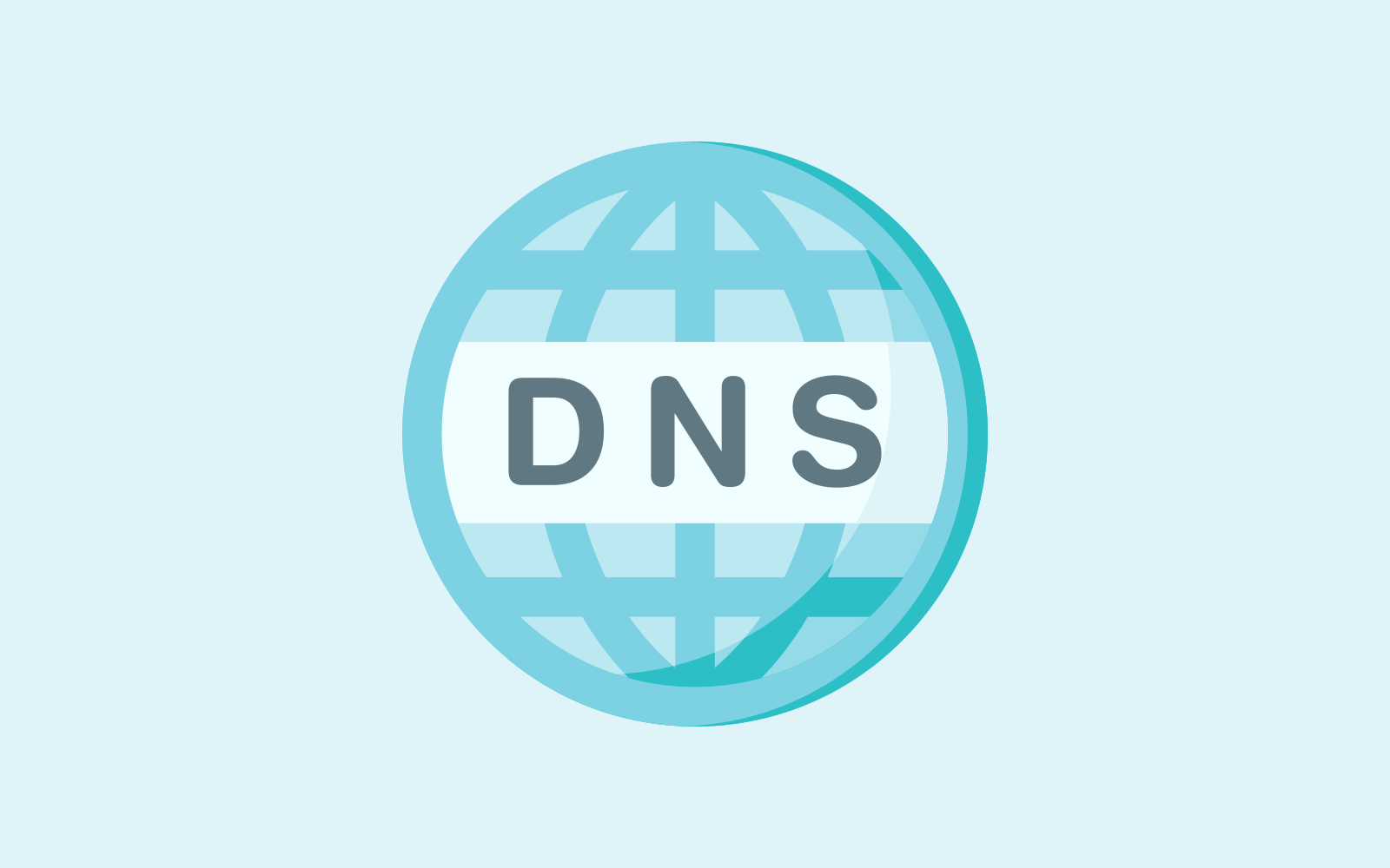 DNS 反向解析