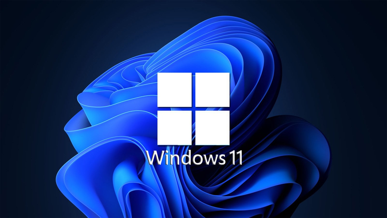 Windows11