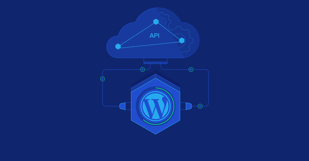 WordPress API